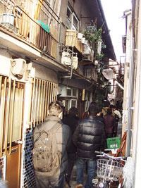 a0091577_553139.jpg