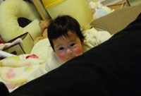 c0105177_016779.jpg