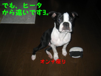 c0092787_12334129.jpg