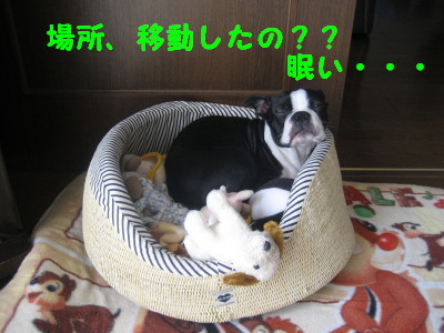 c0092787_1233517.jpg