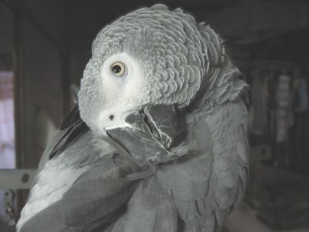 c0076490_21204849.jpg