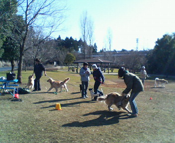 c0095693_17473086.jpg