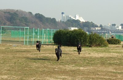 c0050400_1423949.jpg