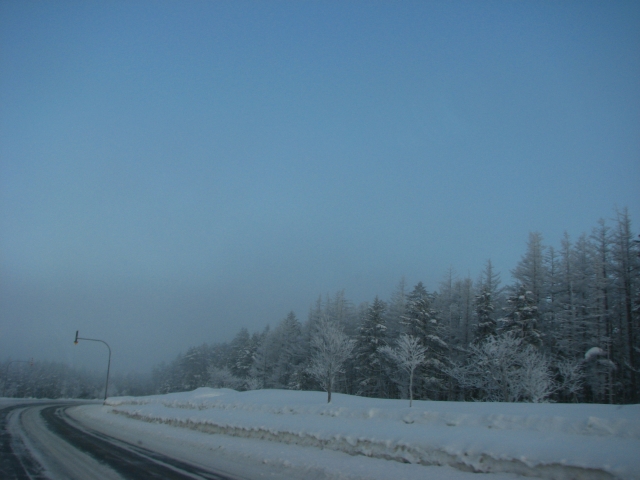 f0020302_19464626.jpg