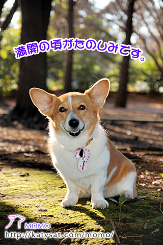 c0088708_15233946.jpg