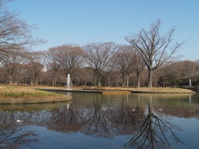 e0083212_1557336.jpg