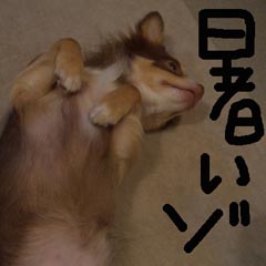 c0036617_1902850.jpg