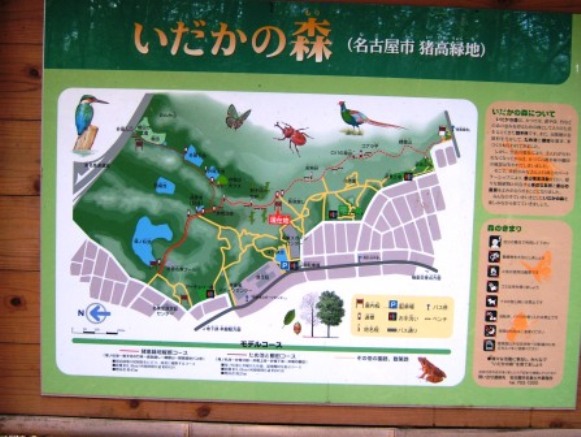e0024126_17155537.jpg