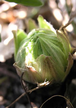 f0042135_21573251.jpg