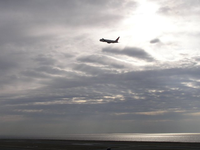 b0016836_058238.jpg