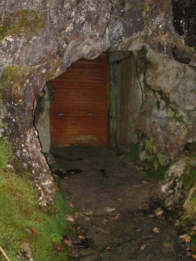 c0024743_074077.jpg