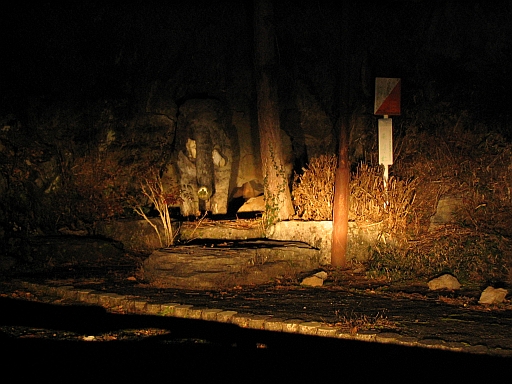 c0024743_082967.jpg