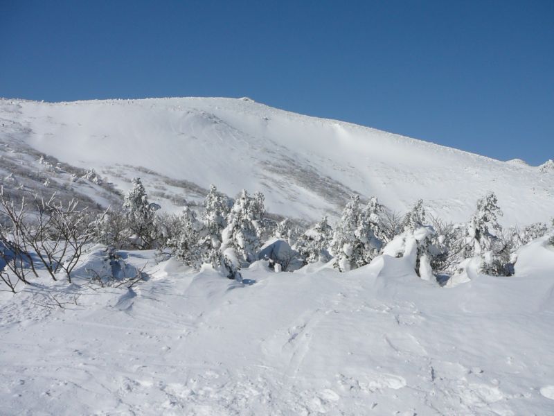 c0081645_2305617.jpg