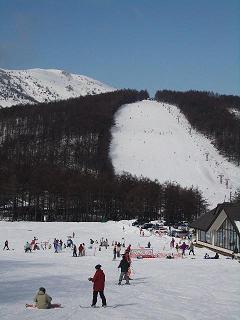 d0085448_1952260.jpg