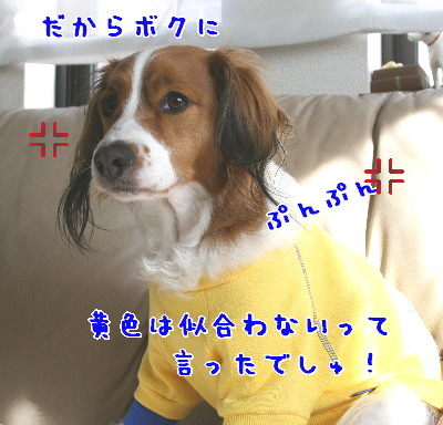 d0013149_1113131.jpg