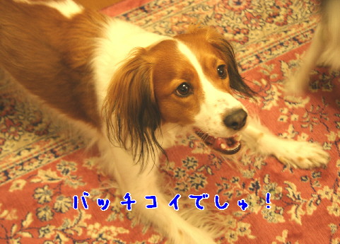 d0013149_1154616.jpg