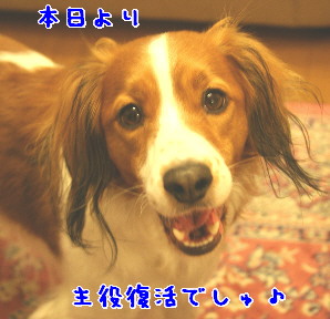 d0013149_1191956.jpg