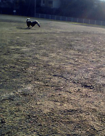 b0005652_22145773.gif