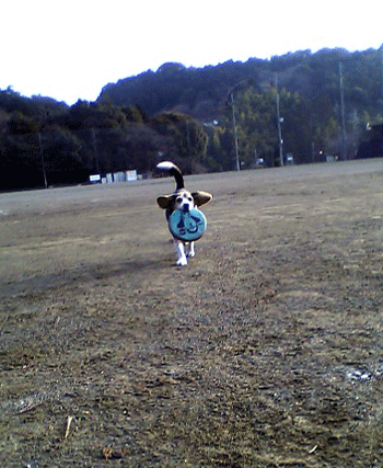 b0005652_22151339.gif