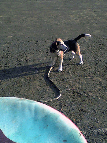 b0005652_22171780.gif