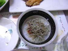 c0081552_23223249.jpg