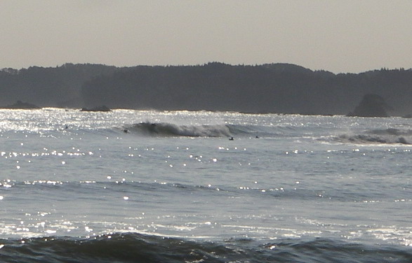 e0070552_23251092.jpg