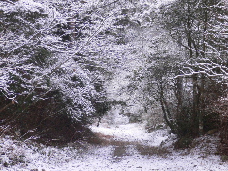 a0063364_14573956.jpg