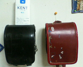 d0070473_1555259.jpg