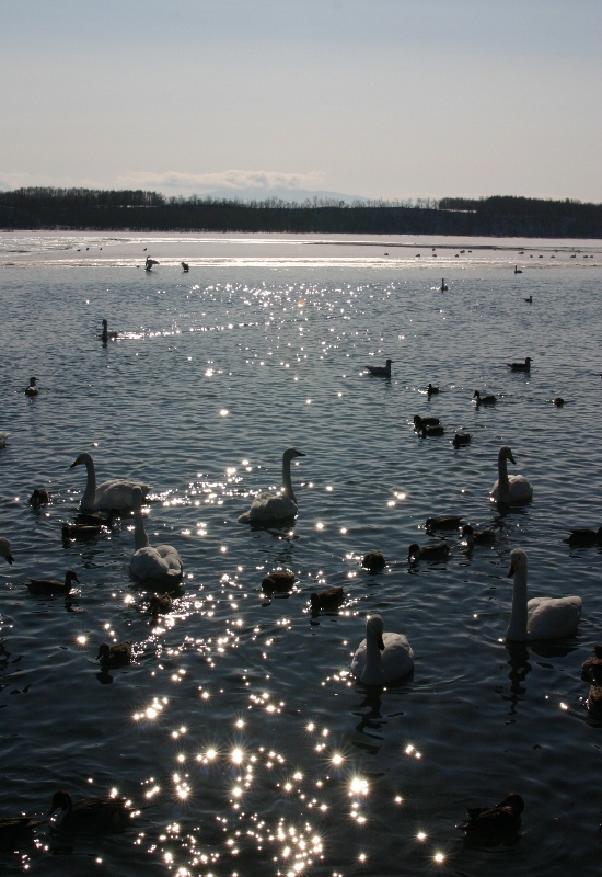 a0016775_22391645.jpg