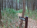 b0042882_1758530.jpg