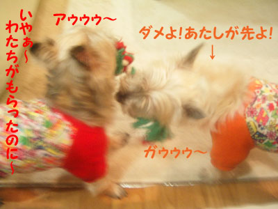 e0066883_20275160.jpg