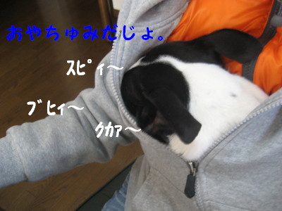 c0092787_10184627.jpg