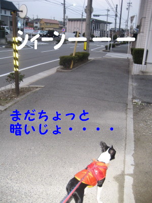 c0092787_1045129.jpg