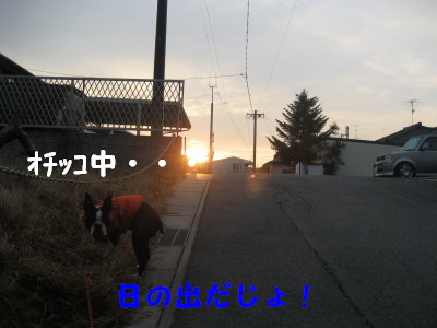 c0092787_1074085.jpg