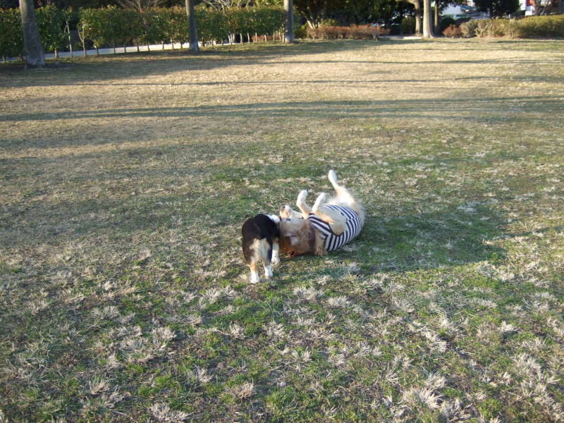 c0104492_1714361.jpg