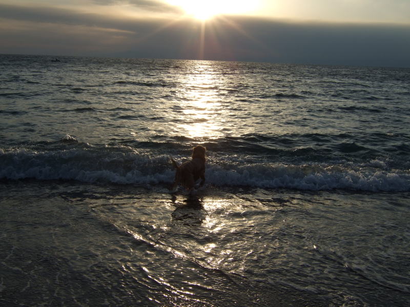 c0104492_20115532.jpg