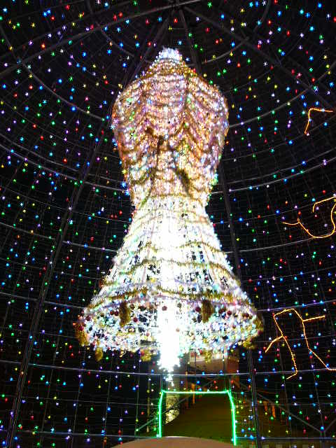 e0015108_250067.jpg