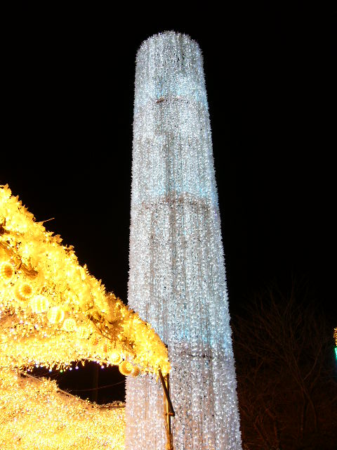 e0015108_2584818.jpg