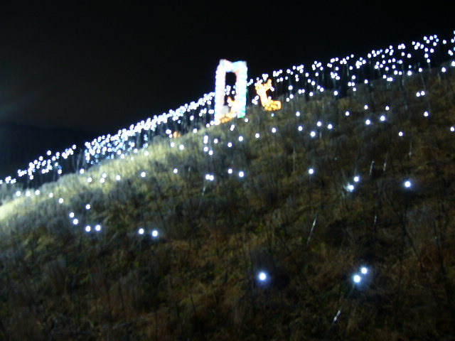 e0015108_3122677.jpg