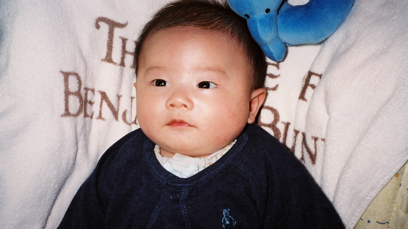 d0017310_319111.jpg