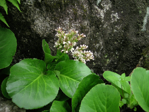 f0115214_15104272.gif