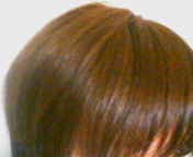f0081117_23202372.jpg