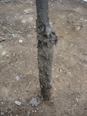 e0003819_16302291.jpg