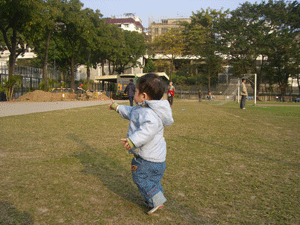 b0026822_1123953.gif