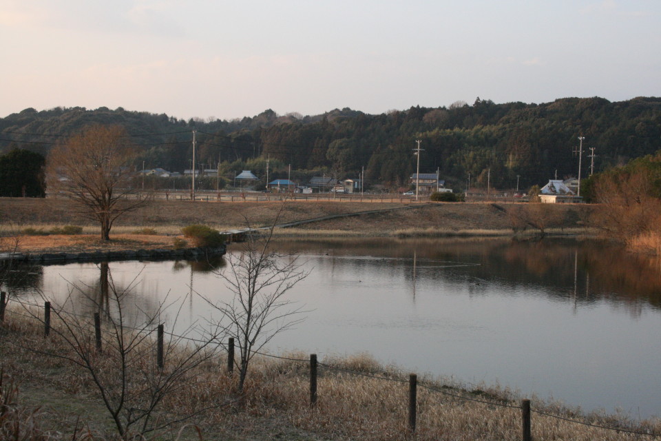 b0054622_21224486.jpg