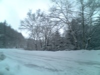 f0027125_2392225.jpg