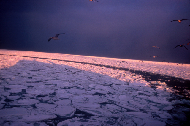 d0091834_1955118.jpg
