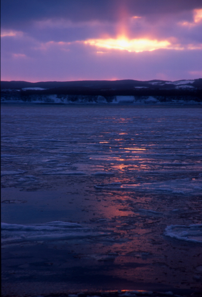 d0091834_196402.jpg