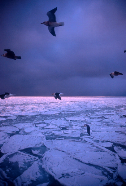 d0091834_19685.jpg