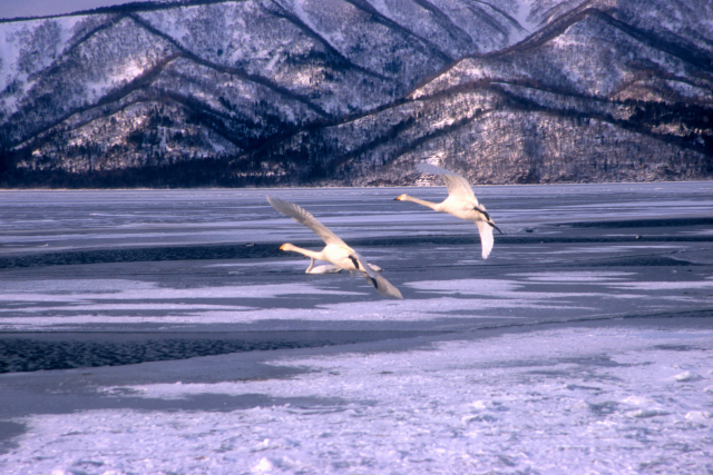 d0091834_1982561.jpg